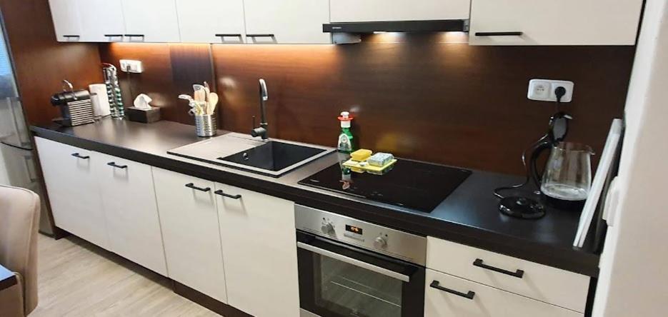 Academic Apartment 브르노 외부 사진